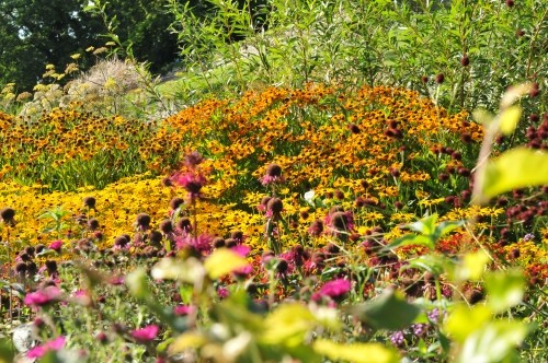 Gartengestaltung: Bauerngarten anlegen, Tipps und Anleitung