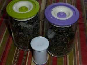 Kräuter richtig trocknen und aufbewahren