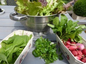 Gartentipps und Aussaat im April, im Garten und auf dem Balkon