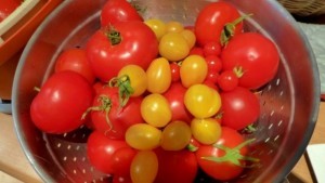 Tomatenketchup: Ketchup machen ist einfach und nicht mit gekauften Produkten zu vergleichen. Ein Grund-Rezept für Ketchup und Variationen.