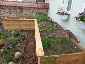 Hochbeet bauen und richtig befüllen