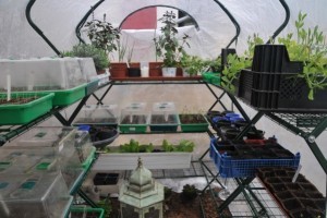 Foliengewächshaus für Garten und Balkon 600