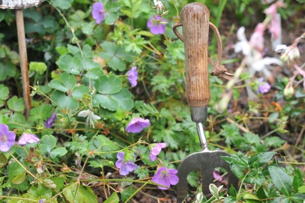 Gartengeräte und Gartenwerkzeuge: Was ist nötig, was nicht, Tops & Flops