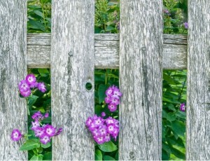 Natürliche Holzpflege für innen und außen, nachhaltig, umweltfreundlich effektiv