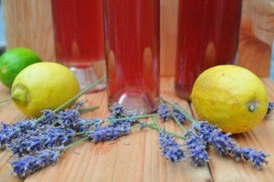 Sirup-Rezept: Lavendelsirup selber machen