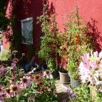 Balokon und Garten im September