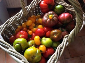 Garten und Balkon im August