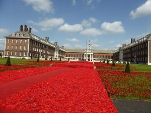 Chelsea Flower Show 2016