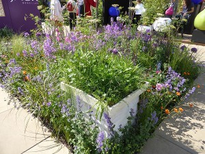 Chelsea Flower Show 2016