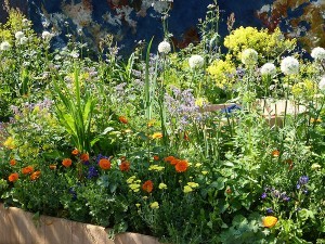 Chelsea Flower Show 2016