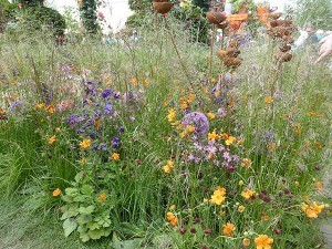 Chelsea Flower Show 2016