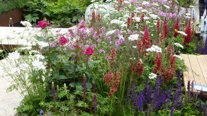 Chelsea Flower Show 2016