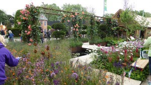 Chelsea Flower Show 2016