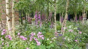 Chelsea Flower Show 2016