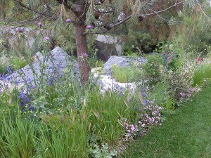 Chelsea Flower Show 2016