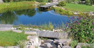 Gartenteich, Schwimmteich und Naturpool in Bildern