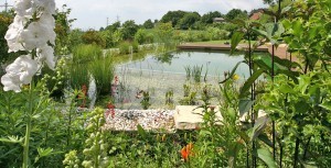 Gartenteich, Schwimmteich und Naturpool in Bildern