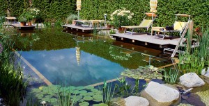 Gartenteich, Schwimmteich und Naturpool in Bildern