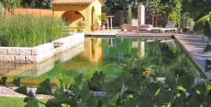 Gartenteich, Schwimmteich und Naturpool in Bildern