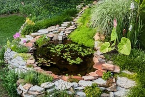 Gartenteich, Schwimmteich und Naturpool im Garten