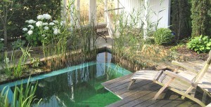 Gartenteich, Schwimmteich und Naturpool in Bildern