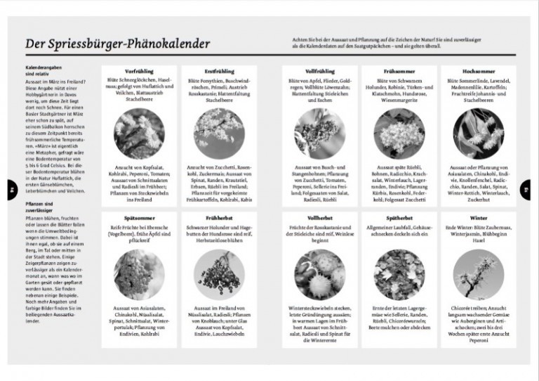 Spriessbürger: Buchtipp für neue und erfahrene Gemüsegärtner – muhvie