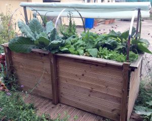 Garten neu anlegen und Hochbeet bauen