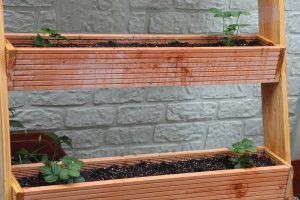 Pflanztreppe selber bauen für Vertical Gardening