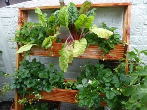 Pflanztreppe selber bauen für Vertical Gardening