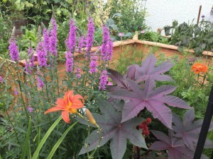 Hochbeet für den Garten selber bauen und Rücken schonen