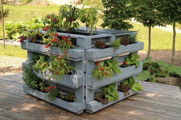 Vertical Gardening-Projekte für den Gemüseanbau auf kleinstem Raum.