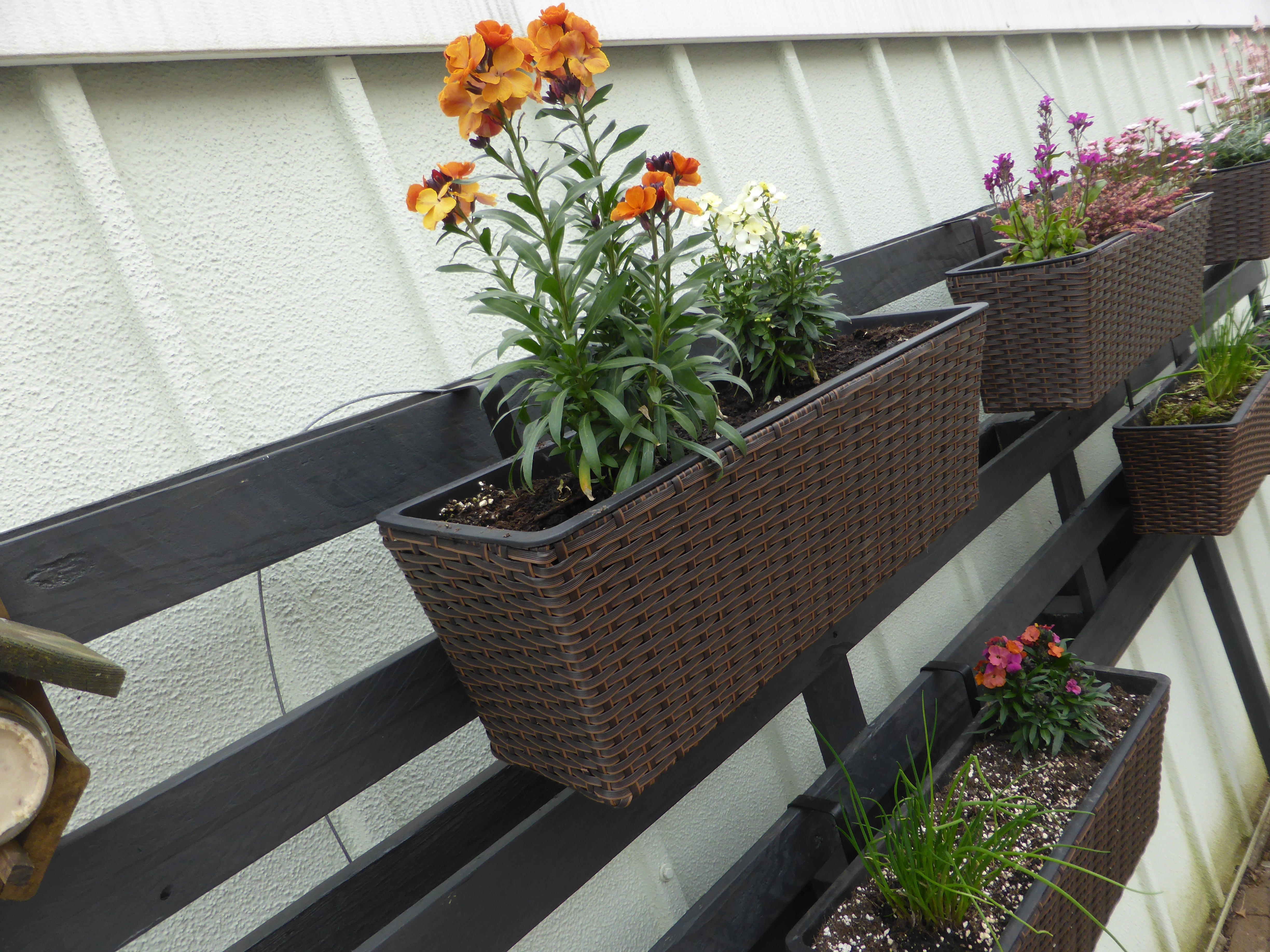 DIY: Palette für den vertikalen, bienenfreundlichen und essbaren Garten