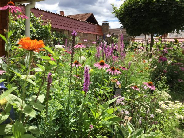 Der Garten im Sommer: Ernten säen, genießen und Gartenarbeiten