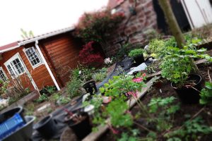 Garten neu anlegen die Kosten