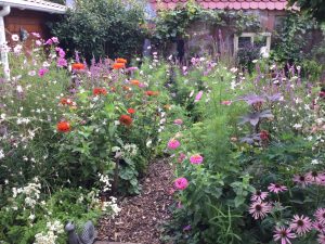 Bienenfreundlicher Garten anlegen Tipps