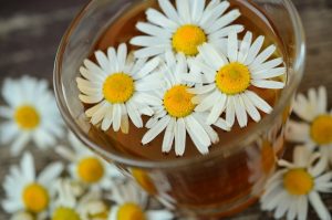 Heilkräuter im Garten und auf dem Balkon