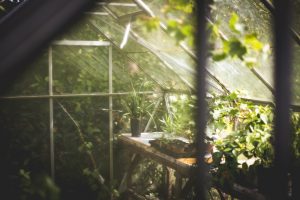 Sommerschlussverkauf Schnäppchen Gartengewächshaus