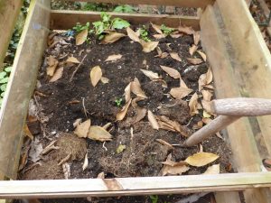 Eine beispielsweise mit Kompost verbesserte Gartenerde hält mehr Wasser.