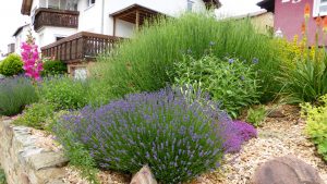 Beete mulchen reduziert Wasser Bedarf im Garten