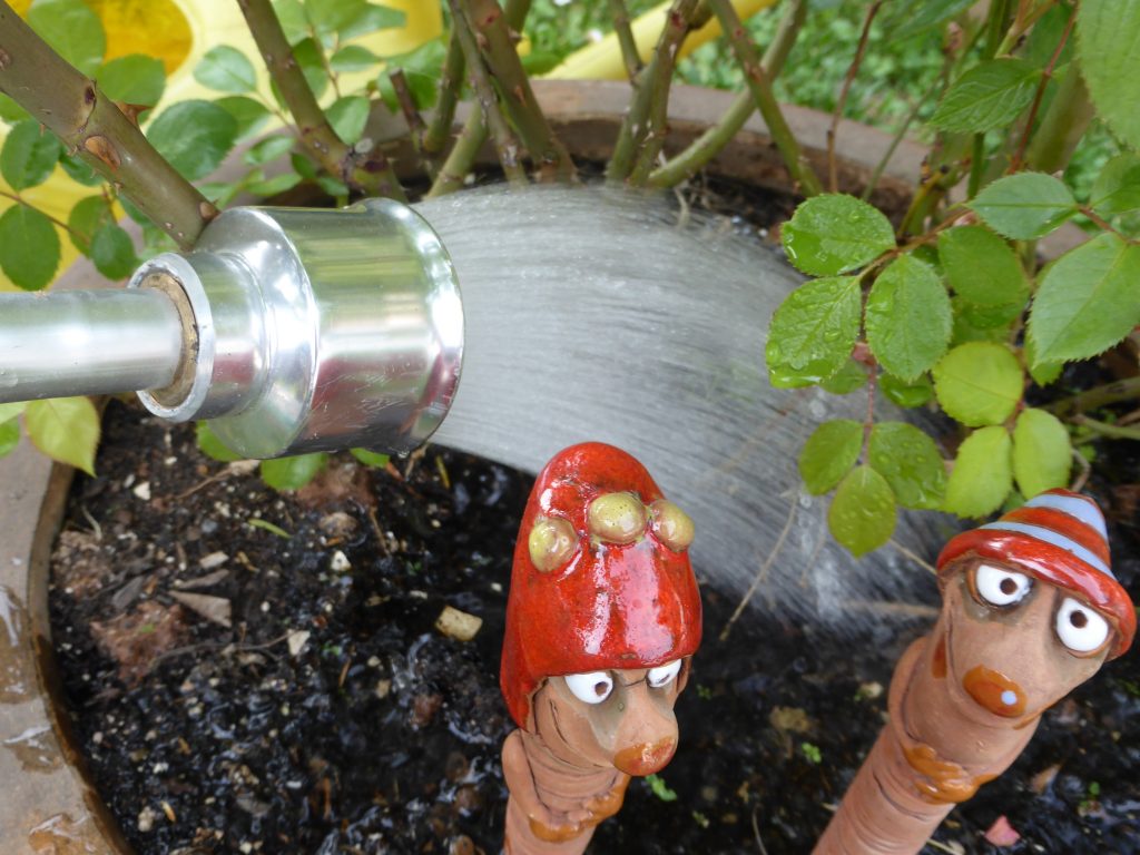 Garten richtig gießen reduziert den Bedarf an Wasser