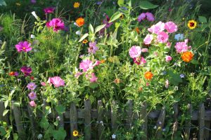 Gartenzaun Gabionen Stabmattenzaun und schöne Begrünung