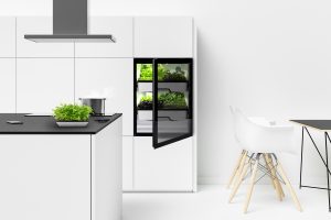 Indoor Gardening mit Plantcube Gewächshausschrank