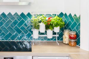 Modulo Smart Indoor Gardening Pret a Pousser 2