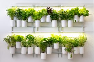 Modulo Smart Gardening System fürs Indoor, vertikale Gärtnern