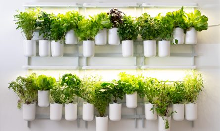 Modulo Smart Gardening System fürs Indoor, vertikale Gärtnern