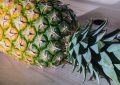 Ananas selber züchten aus der Frucht oder dem Blattwerk