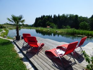 Schwimmteich im Garten: Wissenswertes und Kosten