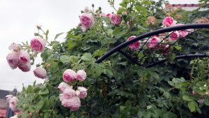 Gartendeko im Landhausstil Rosenbogen passt immer klein