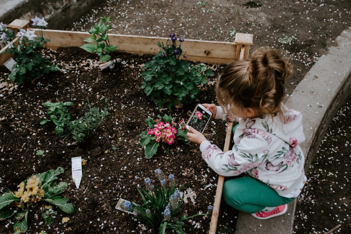 Kleinen Garten optimal nutzen und gestalten Kinder Spass
