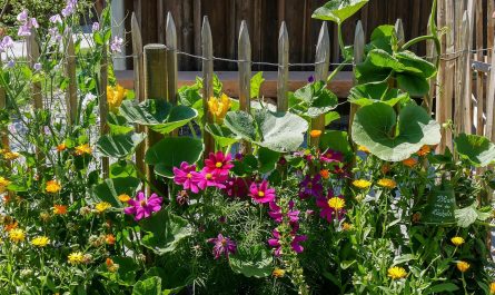 Gartengestaltung Ideen Bauerngarten oder Selbstversorgergarten